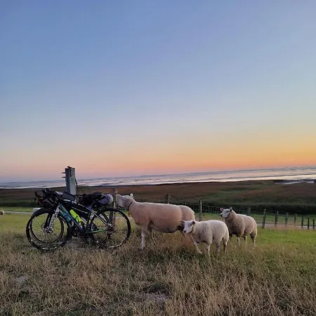 La Petite Gloire Pogum